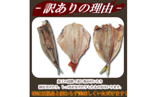 訳あり 干物 おまかせ 選べる 容量 約2.2kg 詰め合わせ 沼津 ひもの すずひで ひもの 訳あり おまかせ 干物 ひもの 詰め合わせ 訳あり 干物 セット 本場沼津 