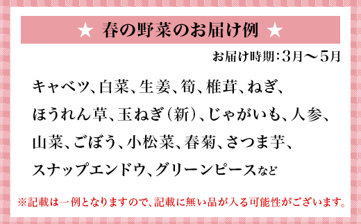 【3か月に1回、合計4回お届け】旬の農産物（野菜・果物など）詰合せ【7品以上】