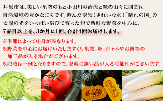 【3か月に1回、合計4回お届け】旬の農産物（野菜・果物など）詰合せ【7品以上】