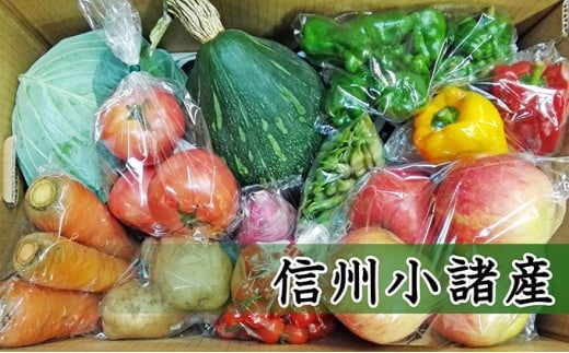 信州小諸　母ちゃんから季節野菜の贈り物 [№5915-0421]