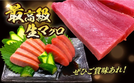 【長崎県養殖クロマグロ品評会最優秀賞！】 五島列島産 養殖 生 本マグロ 中トロ 計約400g マグロ まぐろ 鮪 刺身 ブロック 冷蔵 【上五島町漁業協同組合】 [RBN016]