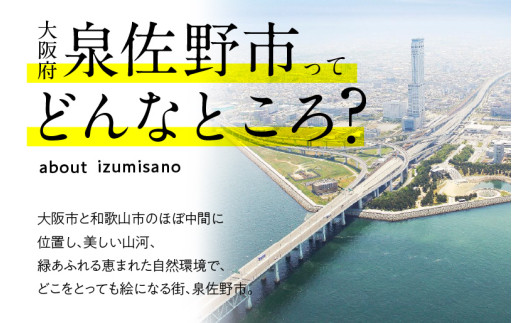 【先行予約】泉佐野産いちご ドレッシング ソース 190mL×2瓶