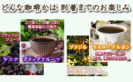 【12203-0107】定期便6回 世界一周 高級珈琲（粉 中挽き） 銀河コーヒー 