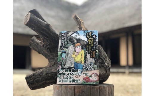 『遠野物語』2冊セット   柳田國男 水木しげる  / 漫画 マンガ 書籍 本 岩手県 遠野市 民話