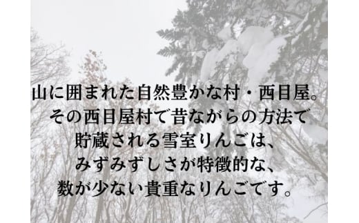 【数量限定】【4月発送】白神の里・西目屋産りんご サンふじ 白神雪ん子りんご約5kg（雪中貯蔵りんご）