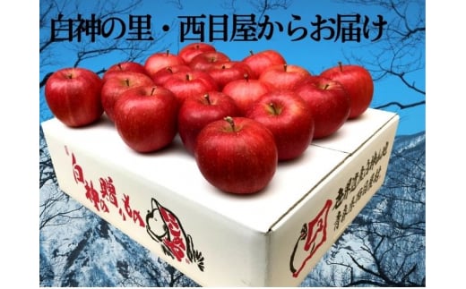 【数量限定】【4月発送】白神の里・西目屋産りんご サンふじ 白神雪ん子りんご約5kg（雪中貯蔵りんご）