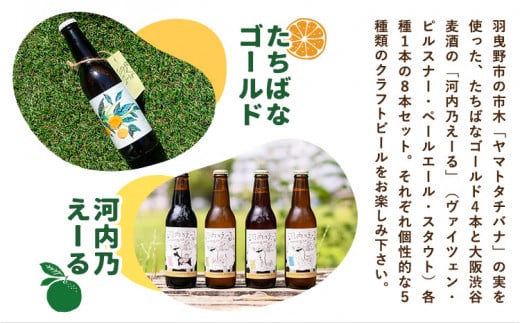 予約商品 たちばなゴールド 河内乃えーる セット 330ml 8本 大阪渋谷麦酒《4月上旬-8月下旬出荷予定(土日祝除く)》大阪府 羽曳野市 クラフトビール ビール アルコール 飲み比べ お酒 橘 柑橘