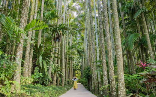 沖縄県観光スポット「東南植物楽園」年間グリーンパスポート＜大人・中人＞【 体験 入場券 ペアチケット 植物園 年間パスポート 動物ふれあい 小動物 テーマパーク 植物 1300種以上 亜熱帯 熱帯 自然 遊び あそび 癒し いやし 観光 贈答 ギフト 沖縄 】