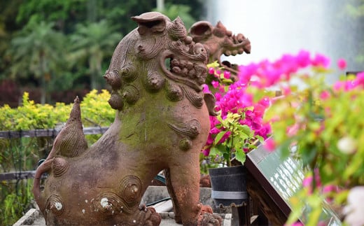 沖縄県観光スポット「東南植物楽園」年間グリーンパスポート＜大人・中人＞【 体験 入場券 ペアチケット 植物園 年間パスポート 動物ふれあい 小動物 テーマパーク 植物 1300種以上 亜熱帯 熱帯 自然 遊び あそび 癒し いやし 観光 贈答 ギフト 沖縄 】