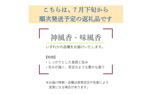 【先行受付】枝豆1kg　秋田県井川町産　７月下旬から順次発送