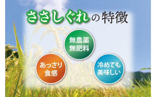 ★令和6年産★ 新米 ささしぐれ 10kg (精米) (DE007)