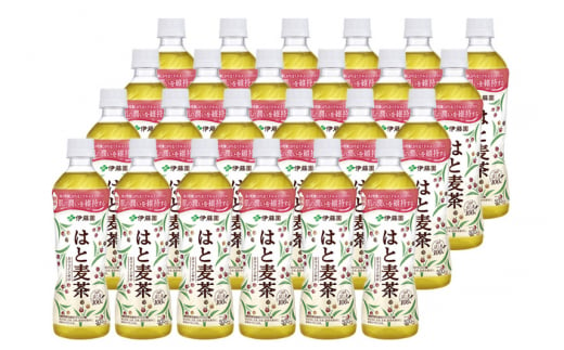 【機能性表示食品】はと麦茶＜500ml×24本＞【1ケース】