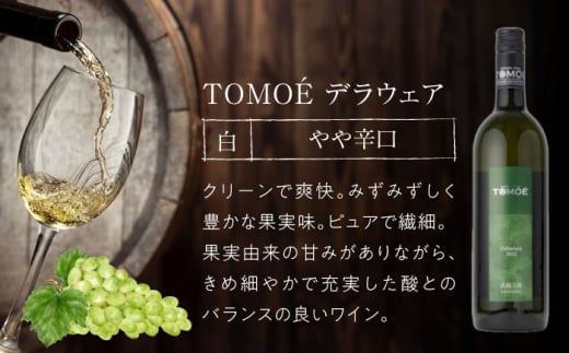 【お歳暮対象】TOMOE 白ワイン 2本セット B シャルドネ リザーブ 辛口 デラウェア ワイン 受賞 飲み比べ ワインセット ギフト 三次市/広島三次ワイナリー[APAZ017-999]