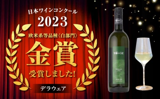 【お歳暮対象】TOMOE 白ワイン 2本セット B シャルドネ リザーブ 辛口 デラウェア ワイン 受賞 飲み比べ ワインセット ギフト 三次市/広島三次ワイナリー[APAZ017-999]