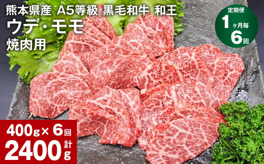 【1ヶ月毎6回定期便】熊本県産 A5等級 黒毛和牛 和王 ウデ・モモ 焼肉用 400g 計2400g