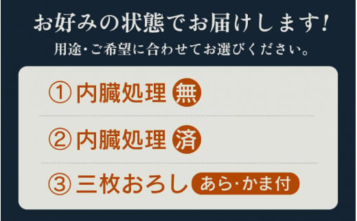 【先行予約】 天然 寒ぶり 1本 (約8～9kg) 若狭湾 ひるがの寒ぶり (内臓処理あり)  【2024年12月末頃より順次発送予定】【ブランド お歳暮 贈答 ギフト プレゼント 寒ブリ ぶり ブリ 鰤 鮮魚 新鮮 生食 刺身 海鮮丼 ブリしゃぶ 日向 産地直送 冬の味覚 海鮮 冷蔵】 [m36-h003_02]