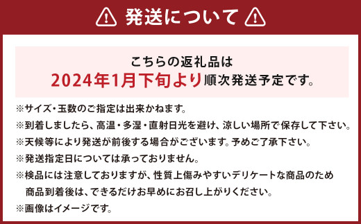 【数量限定】長崎県 時津町産 あすみ 約3kg