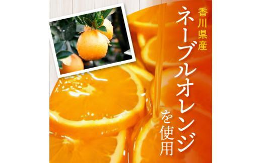 【お歳暮ギフト】瀬戸内芳醇オレンジケーキ 小丸 6個入り 香川県産ネーブルオレンジ