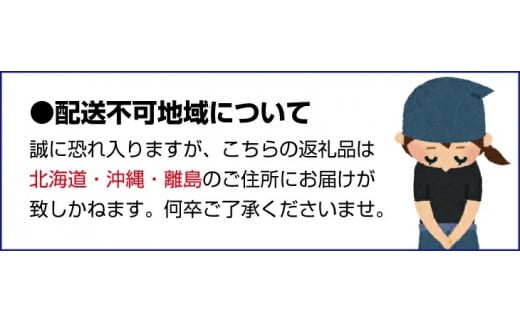 【5月出荷分】和歌山産ミニトマト「アイコトマト」約2kg（S・Mサイズおまかせ）【tec100-5】