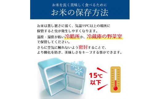 【3か月定期便】特A受賞！令和6年 新米 献上米にも選ばれたとちぎの星 無洗米 15kg | ふるさと 納税 栃木県産 とちぎの星 お米  精米 ミネラル 献上米 白米 無洗米 玄米 大粒 共通返礼品 送料無料 那珂川町 栃木県