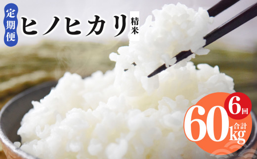 N09 【定期便】奈良県産 ヒノヒカリ 精米 10kg × 6回 合計 60kg (6回お届け) | 米 こめ コメ お米 オコメ おこめ 奈良県 御杖村  米 白米