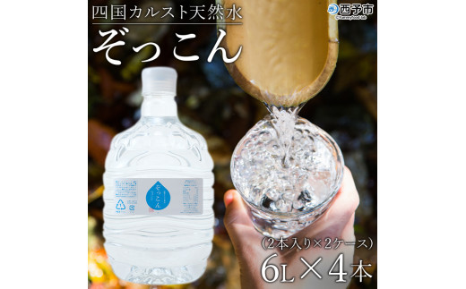 四国カルスト天然水ぞっこん（6L×2本）×2ケース　計4本