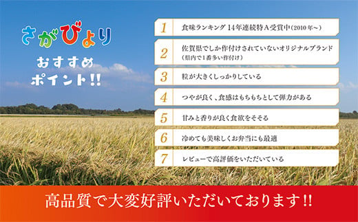 【令和6年産 新米】さがびより 精米 5kg【特A受賞米 米 5kg お米 コメ こめ 国産 美味しい ブランド米 人気 ランキング】(H015184)