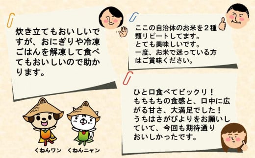 【令和6年産 新米】さがびより 精米 5kg【特A受賞米 米 5kg お米 コメ こめ 国産 美味しい ブランド米 人気 ランキング】(H015184)