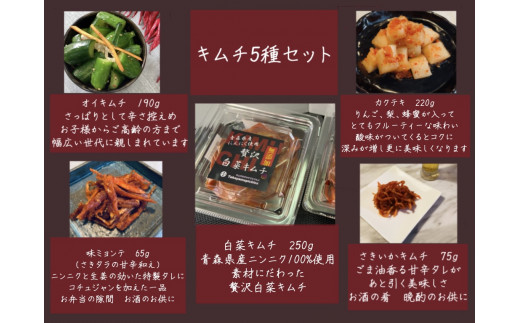 自家製 キムチ 5種セット【白菜キムチ、オイキムチ、カクテキ、さきいかキムチ、味ミョンテ(さきタラの甘辛和え)】[0485]