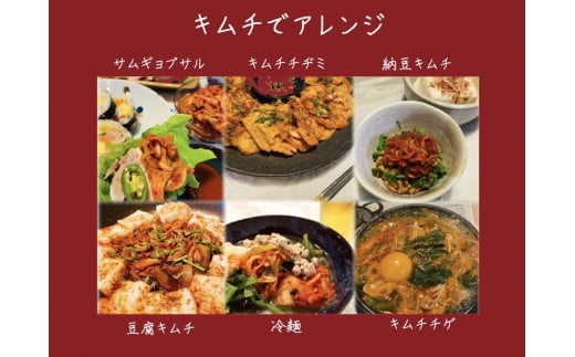 自家製 キムチ 5種セット【白菜キムチ、オイキムチ、カクテキ、さきいかキムチ、味ミョンテ(さきタラの甘辛和え)】[0485]