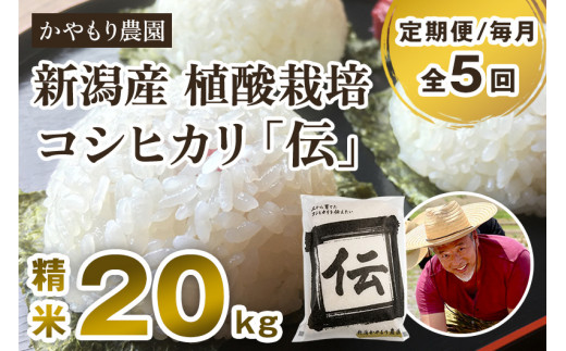 【定期便5ヶ月毎月お届け】新潟産コシヒカリ「伝」 真空パック 精米 20kg（5kg×4）南麻布の高級料亭で提供される極上米 かやもり農園 新潟県 加茂市産 白米 米 お米 定期便