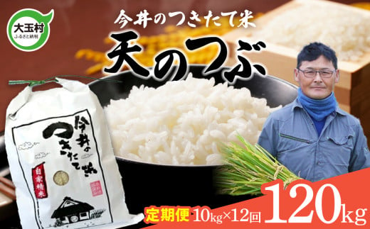 【 令和6年産 新米 】 【 今井のつきたて米 】 天のつぶ 120ｋｇ（毎月１０ｋｇ×12回）【OT08-027-R6】 福島県 大玉村 てんのつぶ テンノツブ 米 定期便 今井農園