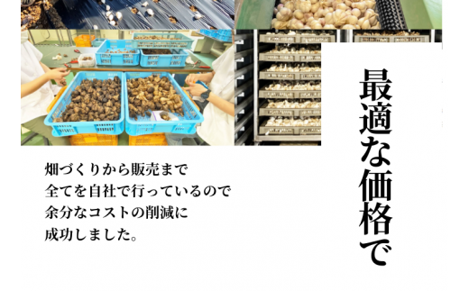 MF01-24B 熟成黒にんにく バラ 150g //長野県 南信州 国産 黒にんにく 農福連携 信州の環境にやさしい農産物認証制度