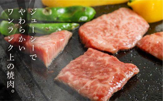 飛騨牛 A5 もも焼肉  139g（約1～2人前）【冷凍 真空】牛肉 モモ 赤身 焼肉  牛 天狗 真空 ブランド牛 下呂市 飛騨 焼き肉