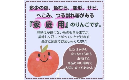 ◆2025年1月中発送◆りんご サンふじ家庭用 10kg(24～42玉)【1515113】