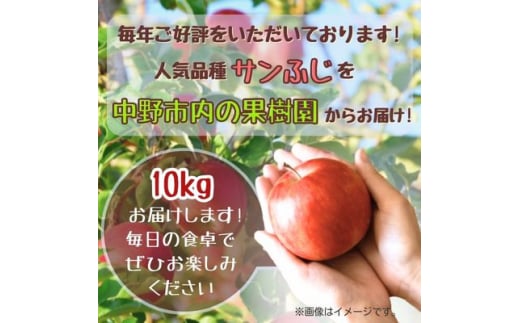 ◆2025年1月中発送◆りんご サンふじ家庭用 10kg(24～42玉)【1515113】