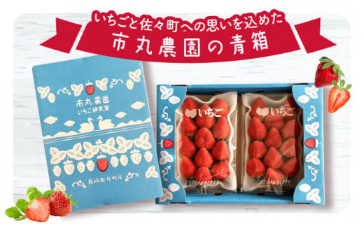 【先行予約・1月発送開始】佐々町産 いちご 「ゆめのか」約1.0kg （250g×4パック）【市丸農園 いちご研究室】 [QBF001]