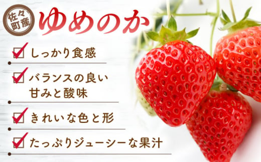 【先行予約・1月発送開始】佐々町産 いちご 「ゆめのか」約1.0kg （250g×4パック）【市丸農園 いちご研究室】 [QBF001]