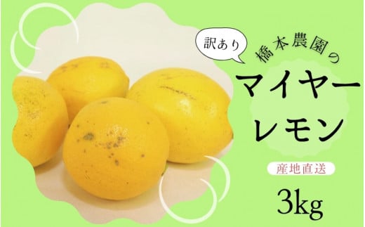 【先行予約】橋本農園の 訳あり マイヤーレモン 3kg【2024年12月初旬から2025年1月初旬までに順次発送】 / レモン マイヤーレモン 檸檬 先行予約 家庭用 ご家庭用