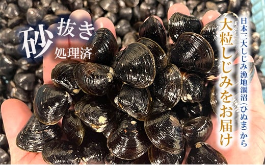涸沼産 大粒 冷凍 シジミ 3.2kg （400ｇ×8袋） しじみ 蜆 大和しじみ ヤマトシジミ 大玉 砂抜き済 冷凍 味噌汁 スープ 魚貝類 貝 オルニチン コハク酸 小分け