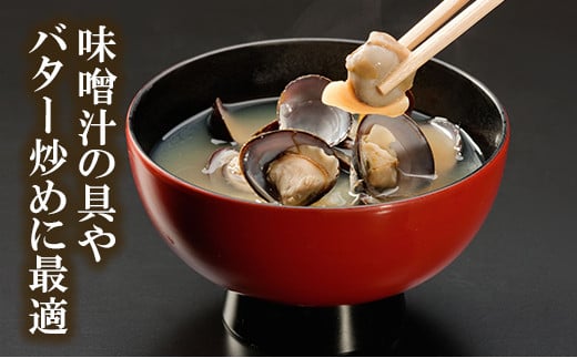 涸沼産 大粒 冷凍 シジミ 3.2kg （400ｇ×8袋） しじみ 蜆 大和しじみ ヤマトシジミ 大玉 砂抜き済 冷凍 味噌汁 スープ 魚貝類 貝 オルニチン コハク酸 小分け