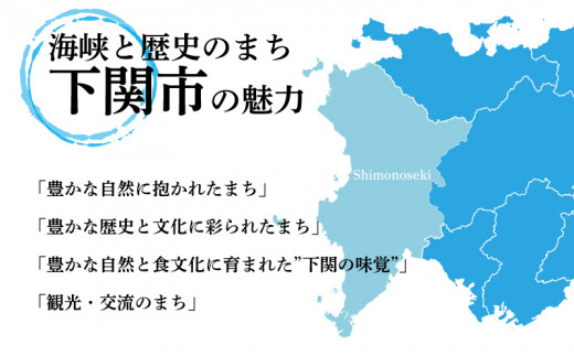 だんご 団子 みたらし 20本 セット 大容量 冷凍 スイーツ 和 菓子 生菓子 お菓子 お茶 おやつ 九州 醤油 しょうゆ