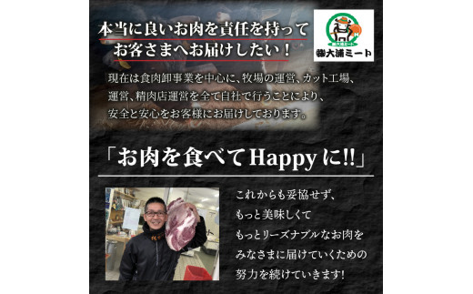 ★選べる配送月★【4月発送】神戸牛カルビ焼肉700g《 肉 カルビ 神戸牛 焼肉 国産 バーベキュー サシ 和牛 プレゼント ギフト お取り寄せ 送料無料 おすすめ 》【2402A00214-04】