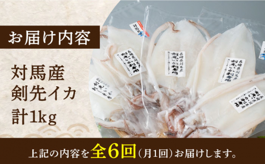 【全6回定期便】剣先 イカ 刺身 セット 1kg《対馬市》【海風商事】あかいか まるいか 九州 長崎 対馬 刺身 冷凍 ギフト 海鮮 魚介 魚介類 寿司 烏賊 [WAD047]