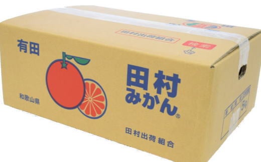 【ブランドみかん】田村みかん約5kg（2Sサイズ・秀品）【2024年11月下旬～12月下旬頃に順次発送】【tec881】