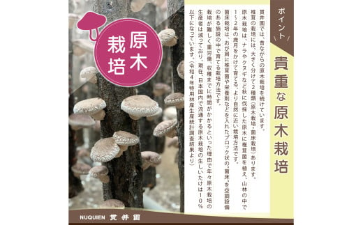 ＜訳あり＞貫井園の原木干し椎茸　約90g×3パック　大きさ不揃い【1335498】