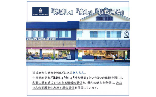 boxes No.1 紀州備長炭パウンドケーキ 9個入り 有限会社あんちん 《30日以内に出荷予定(土日祝除く)》 和歌山県 日高川町 パウンドケーキ 洋菓子 備長炭 スイーツ