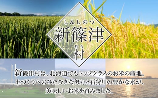 北海道 定期便 3ヵ月 連続 全3回 R6年産 北海道産 ゆめぴりか 5kg 精米 米 白米 ごはん お米 新米 特A 獲得 北海道米 ブランド米 道産 ご飯 お取り寄せ 甘み もちもち 粘り 食味ランキング まとめ買い 新しのつ米 送料無料 令和6年産