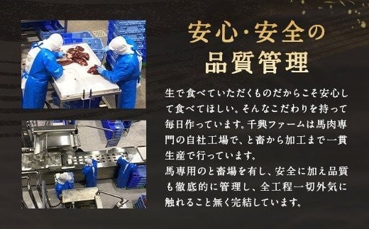 国産馬刺し赤身 約400g 馬刺しのタレ付き 馬刺し 馬刺 国産