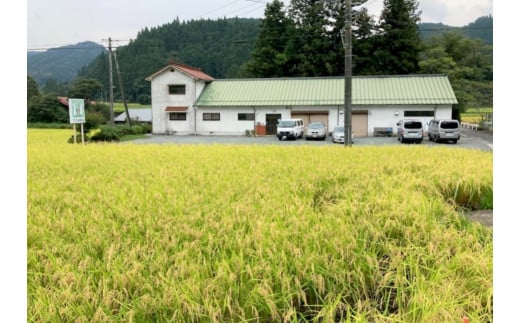 沖津食品もち米。豊かに実ります。